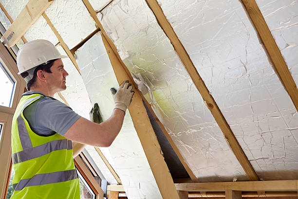 Best Insulation Installation Services in East Grand Rapids, MI